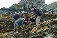 Keith Hiscock leading a Seashore Safari