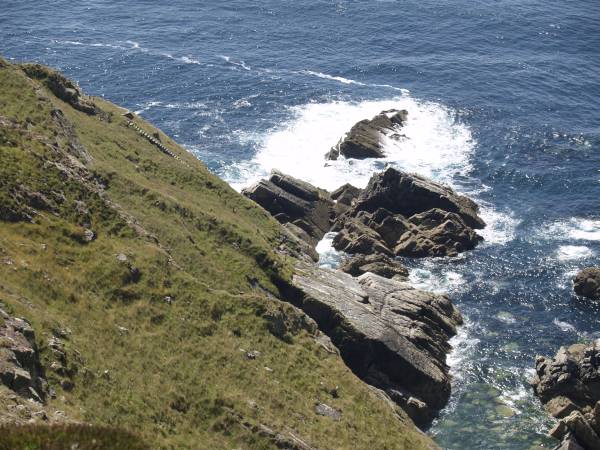 Montagu Steps © C J Webster
