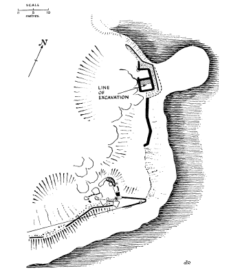 brazenplan